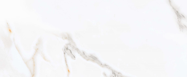 Керамогранит PRIMAVERA Regal Carara polished PR103 60х60 см