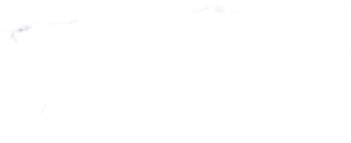 Керамогранит PRIMAVERA Salvatore White Carving CR117 60х60 см