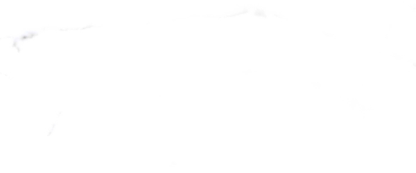 Керамогранит PRIMAVERA Salvatore White Carving CR117 60х60 см