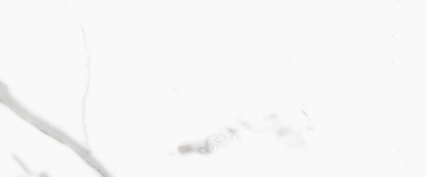 Керамогранит PRIMAVERA Salvatore polished PR107 60х60 см