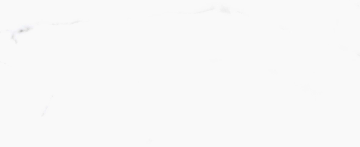 Керамогранит PRIMAVERA Salvatore polished PR107 60х60 см