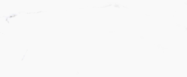 Керамогранит PRIMAVERA Salvatore polished PR107 60х60 см