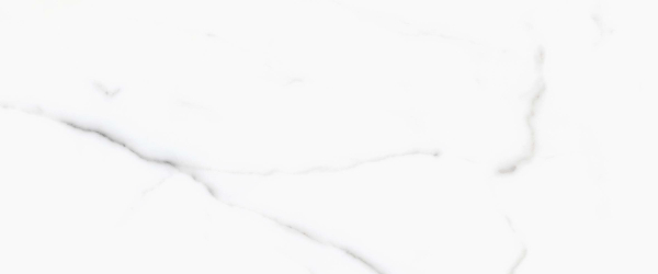 Керамогранит PRIMAVERA Salvatore polished PR107 60х60 см