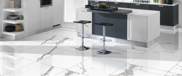 Керамогранит PRIMAVERA Salvatore polished PR107 60х60 см