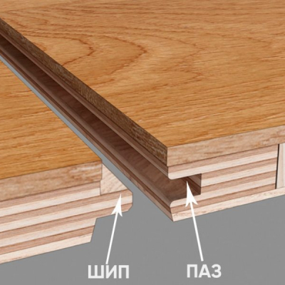 Инженерная доска Primavera: укладка своими руками
